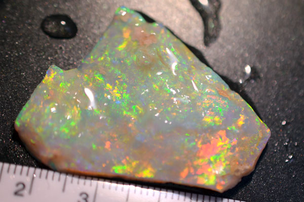 hvorfor ikke form Nathaniel Ward Buy Australian Rough Opal Online - Coober Pedy, Andamooka | Desert Jewells